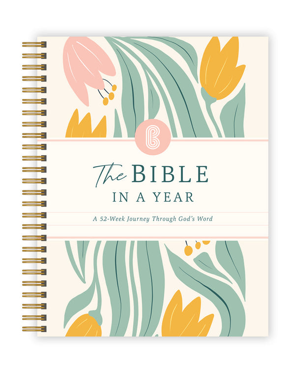 Yearly Bible Journey Study Guide